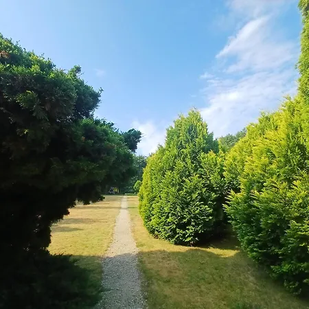 Lejlighed Pod Olcha Wilczyce *